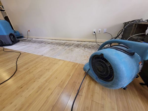 Water Damage Mitigation in Elk Grove
