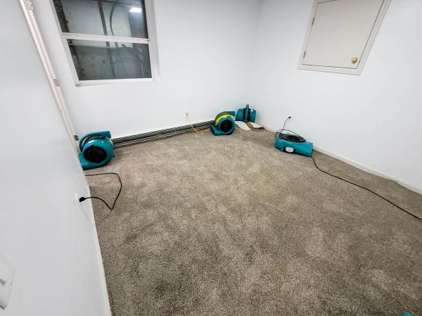 Flood Restoration Service in Elk Grove